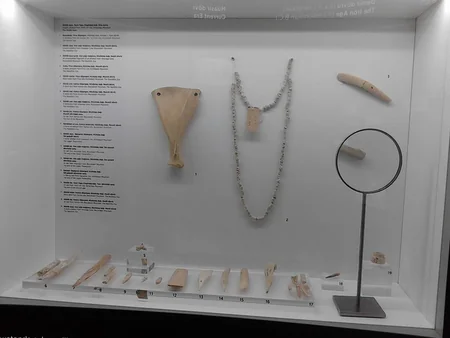 Qobustan Milli Tarix-Bədii Qoruğuna infotur keçirilib