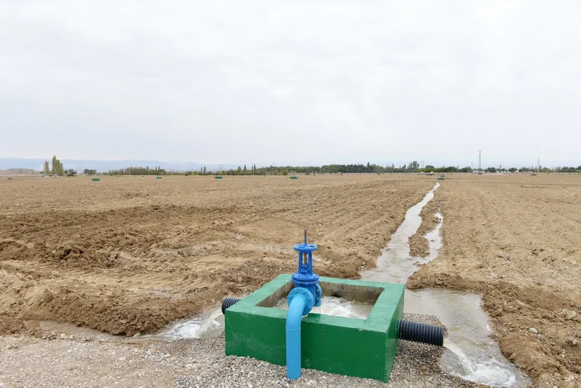 Bələdiyyə torpaqlarından sui-istifadə hallarının məhdudlaşdırılması ilə bağlı hökumətə tapşırıqlar verilib