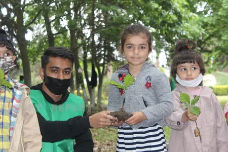 Biləsuvarda 1001 palıd adlı layihə icra edilib