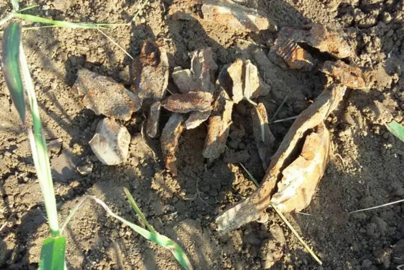 ​Ağdam və Tərtərdə partlamış raket qalıqları aşkarlanıb