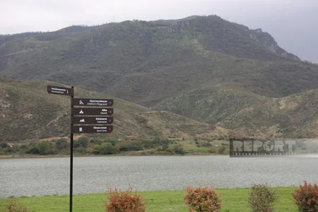 Suqovuşan qəsəbəsindəki istirahət parkında 5 minə yaxın ağac və kol əkilib