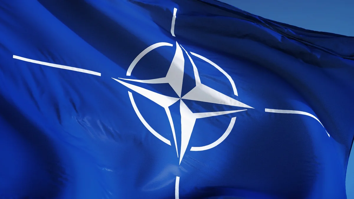 NATO defence ministers to meet in mid-February