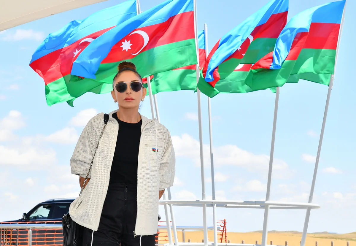 Mehriban Əliyeva Zəngilandan foto paylaşıb