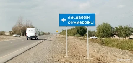 Ağcabədidə avtomobil qoyun sürüsünə girib, 10-dan çox xırdabuynuzlu tələf olub - FOTO