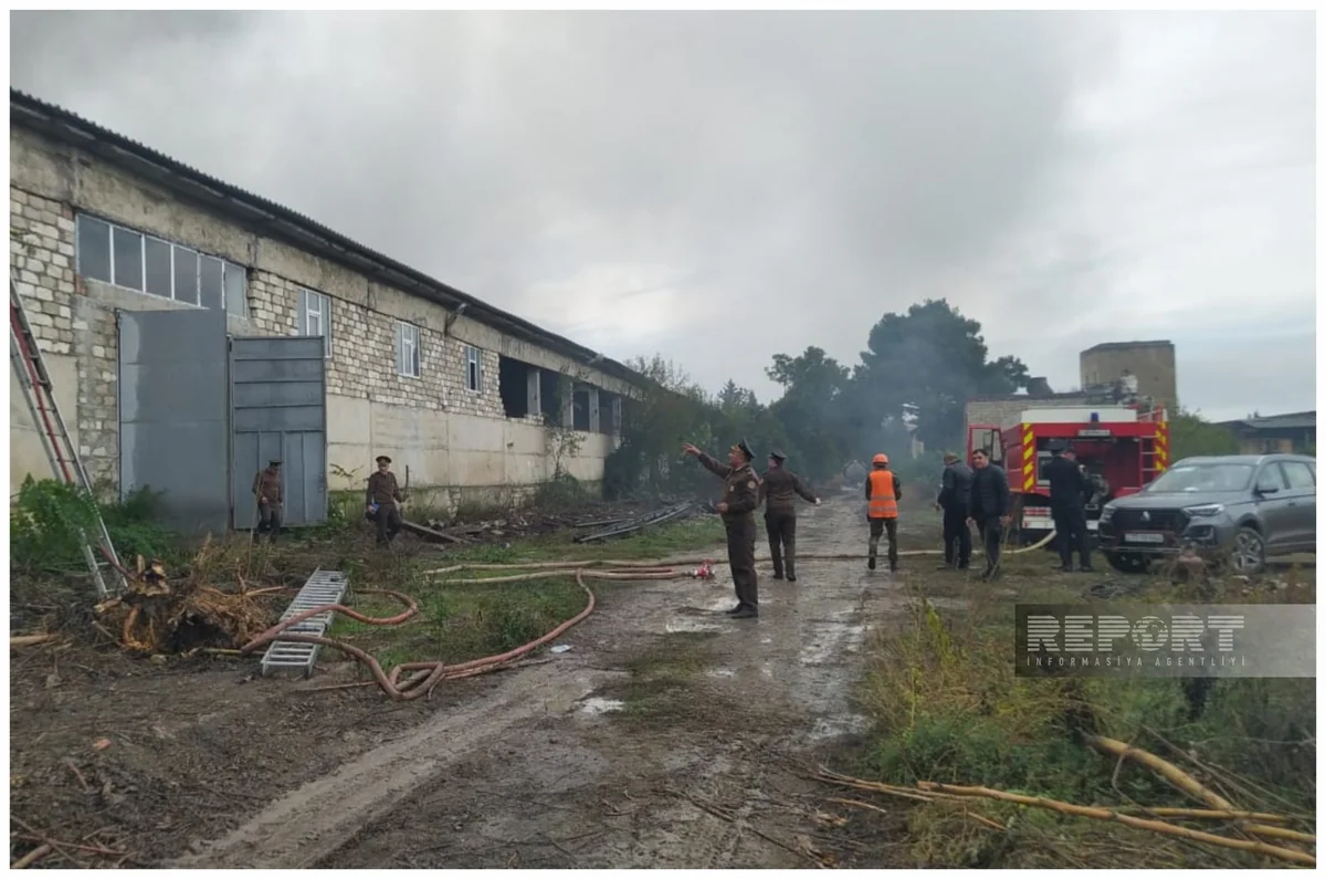 Tovuzda keçmiş şərab zavodunun ərazisində baş verən yanğın söndürülüb - YENİLƏNİB - 2