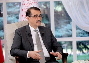 Fatih Dönməz: “TANAP ilə 8,1 mlrd kubmetr Azərbaycan qazı nəql edilib”