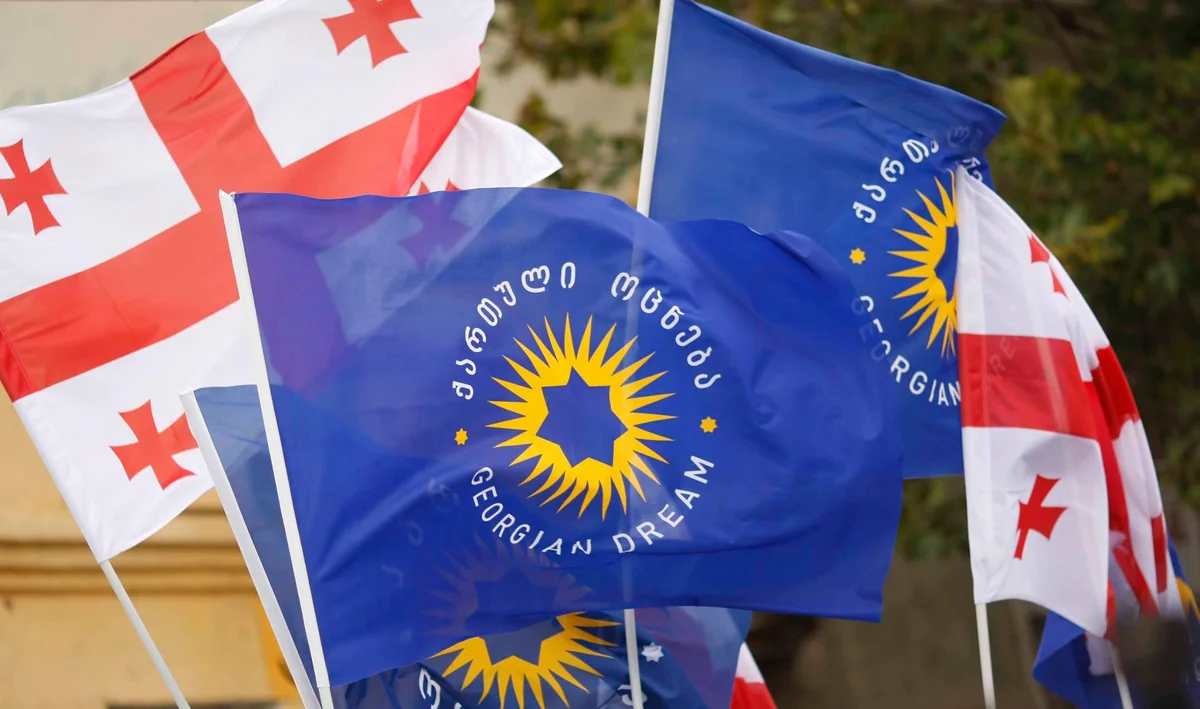 “Gürcü Arzusu” təkrar seçkiləri istisna edib