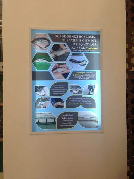 “Caspian Ecology” 2017 sərgisində ETSN-in stendləri nümayiş etdirilir