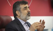 İranın Atom Enerjisi Təşkilatı: Tehran atom proqramı üzərində işləri davam etdirəcək