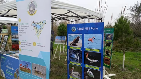 Flamingo Festival celebrates biodiversity in Azerbaijan's Gyzylagach National Park