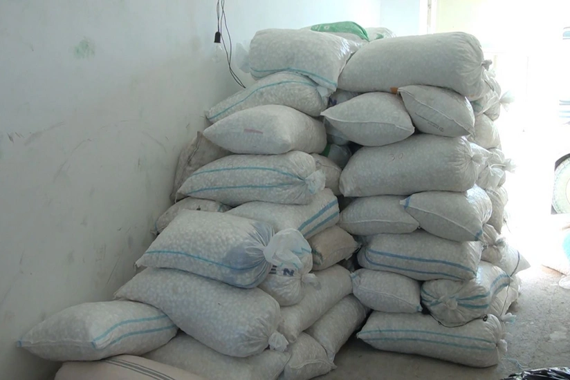 Kürdəmirdə yaş barama tədarükünə başlanılıb