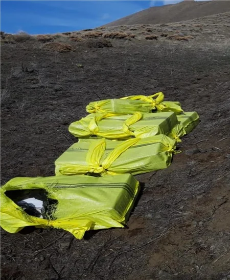 Ötən ay axtarışda olan 204 nəfər sərhəddə saxlanılıb