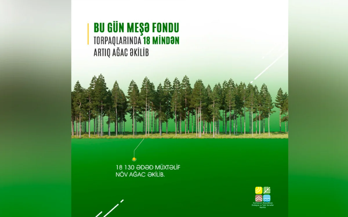 Bu gün meşə fondu torpaqlarında 18 mindən çox ağac əkilib