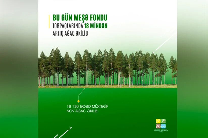 Bu gün meşə fondu torpaqlarında 18 mindən çox ağac əkilib