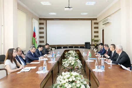 İnam Kərimov Macarıstanın xarici işlər nazirini qəbul edib