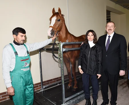 President Ilham Aliyev attends opening of Qarabag Equestrian Complex