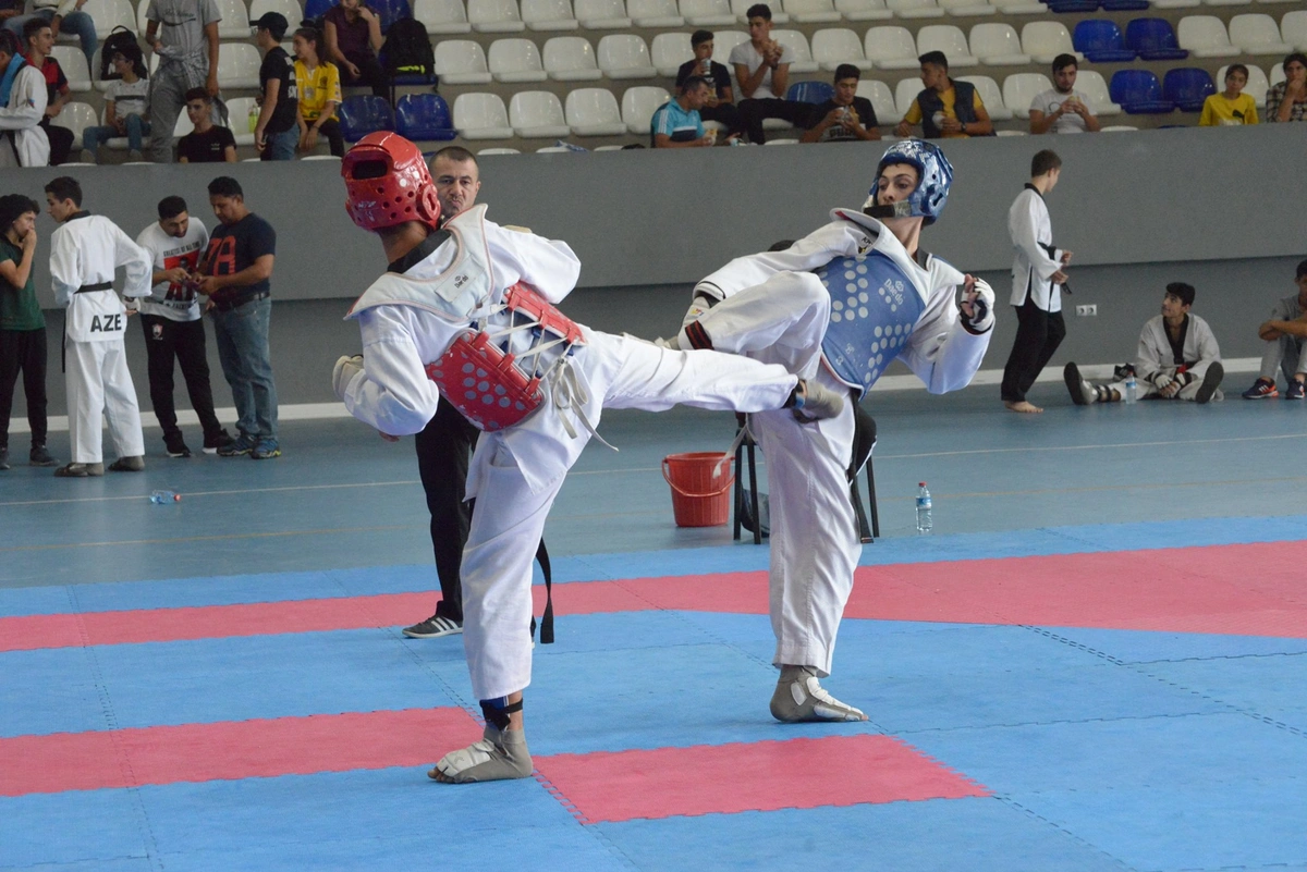 Azərbaycanın populyar idman növləri açıqlandı