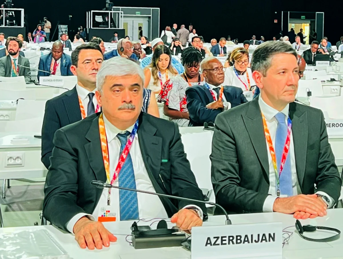 Azərbaycan BMT-nin qlobal konfransının vitse-prezidenti seçilib