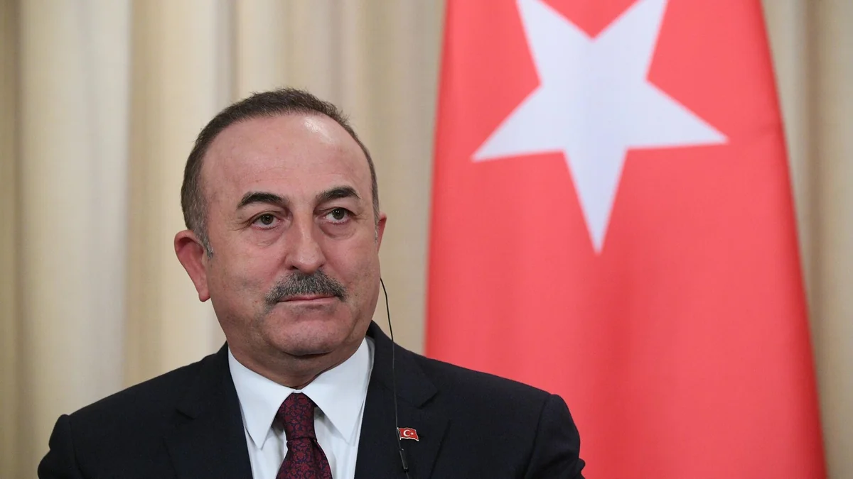 Cavusoglu: Turkish democracy won May 14 elections