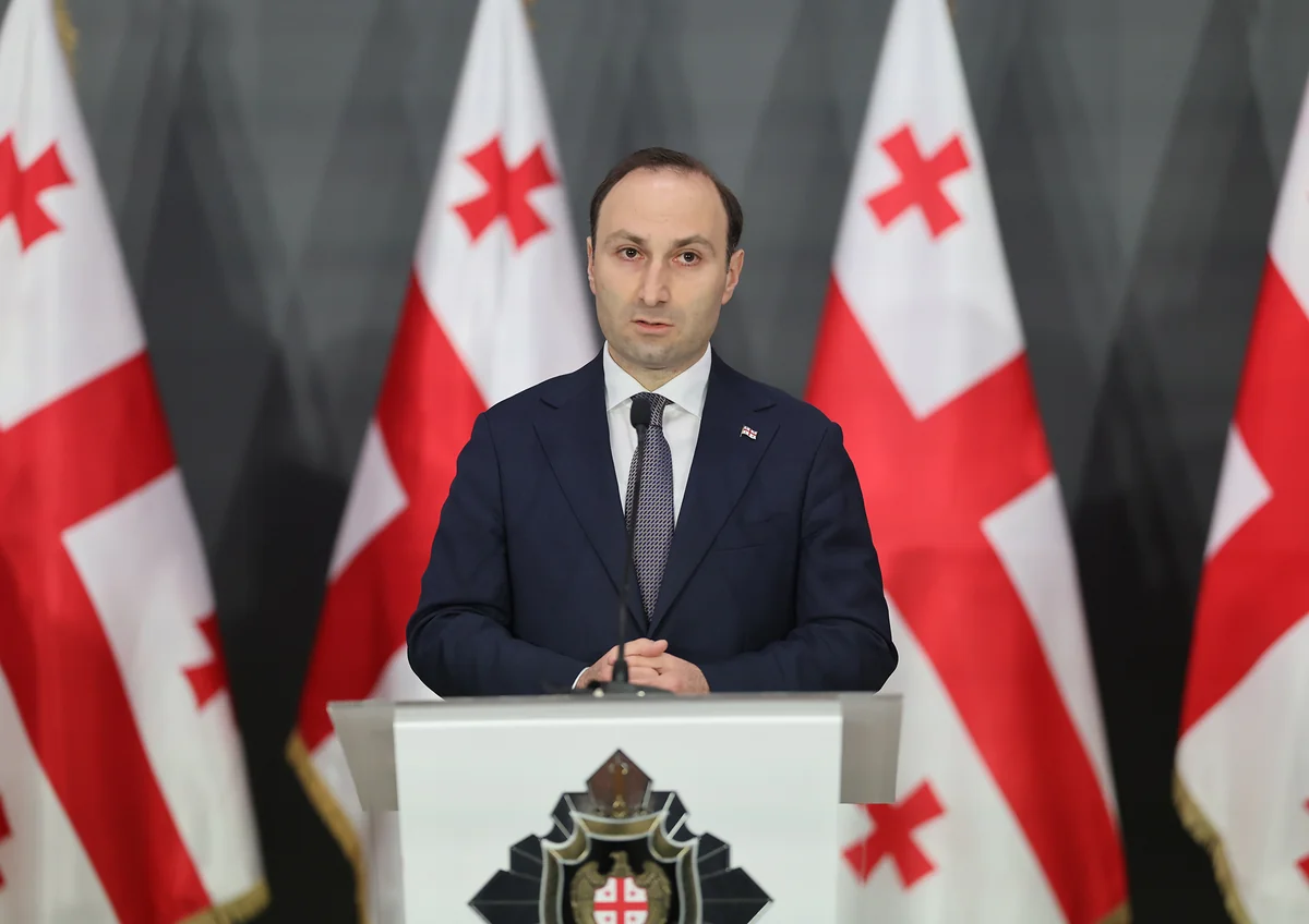 Gürcüstan DTX-nin rəisi istefa verib, yeni vəzifəyə təyin olunub