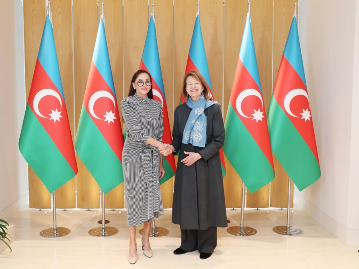 Mehriban Aliyeva meets with British premier’s trade envoy for Azerbaijan