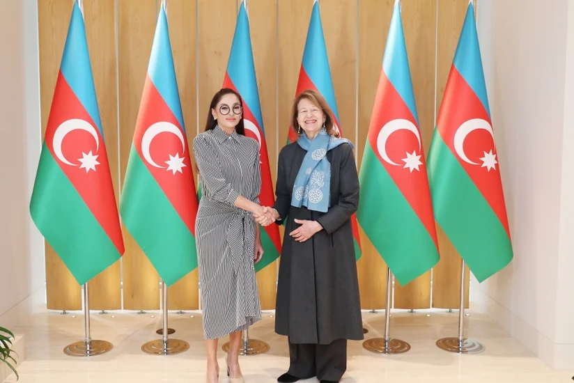 Мехрибан Алиева встретилась с торговым посланником премьер-министра Великобритании по Азербайджану