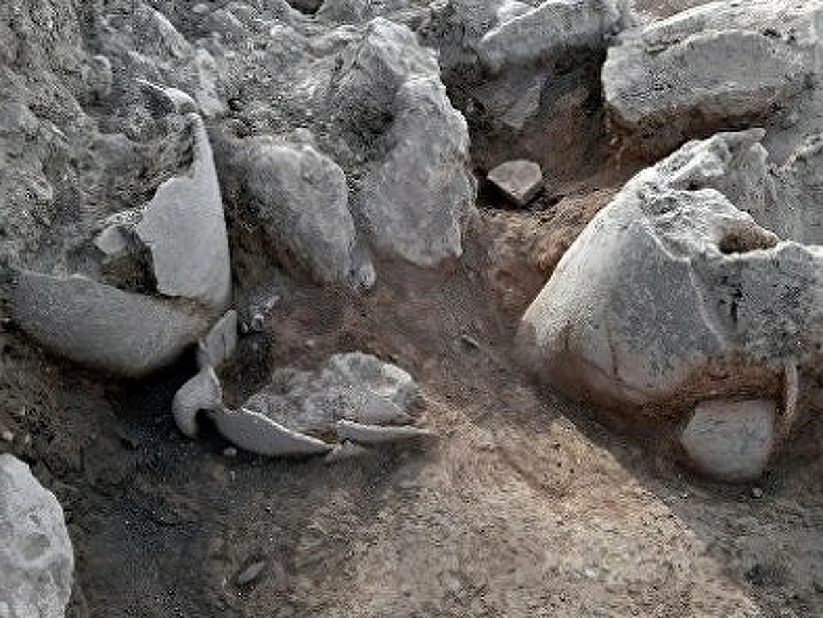 В Северном Китае обнаружили древний горельеф