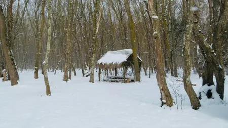 Azərbaycan parklarının qış görüntüləri - FOTOREPORTAJ
