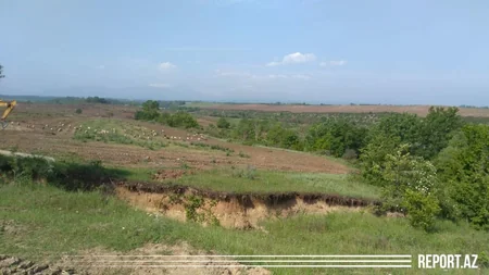 Azərbaycanda ikinci ağıllı bağ salınır