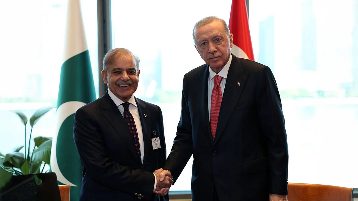 Turkish president mulls regional issues with Pakistani PM