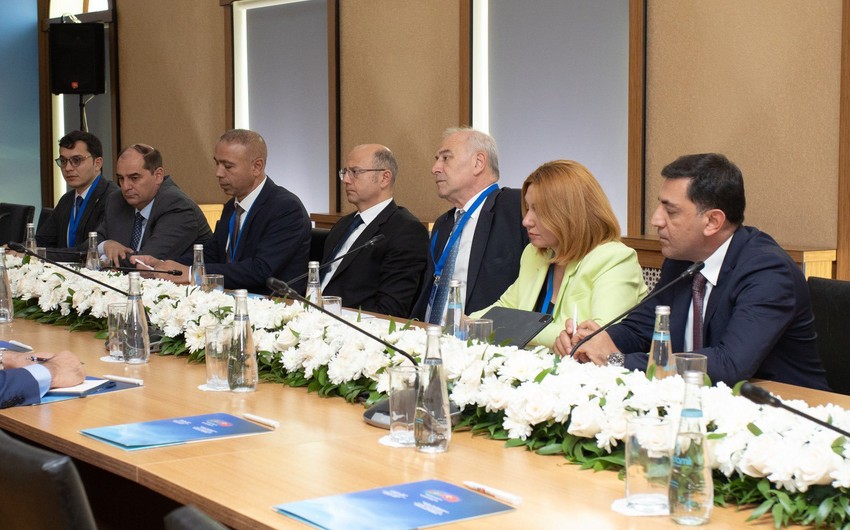ACWA Power discusses generation and export of 'green energy' in Azerbaijan