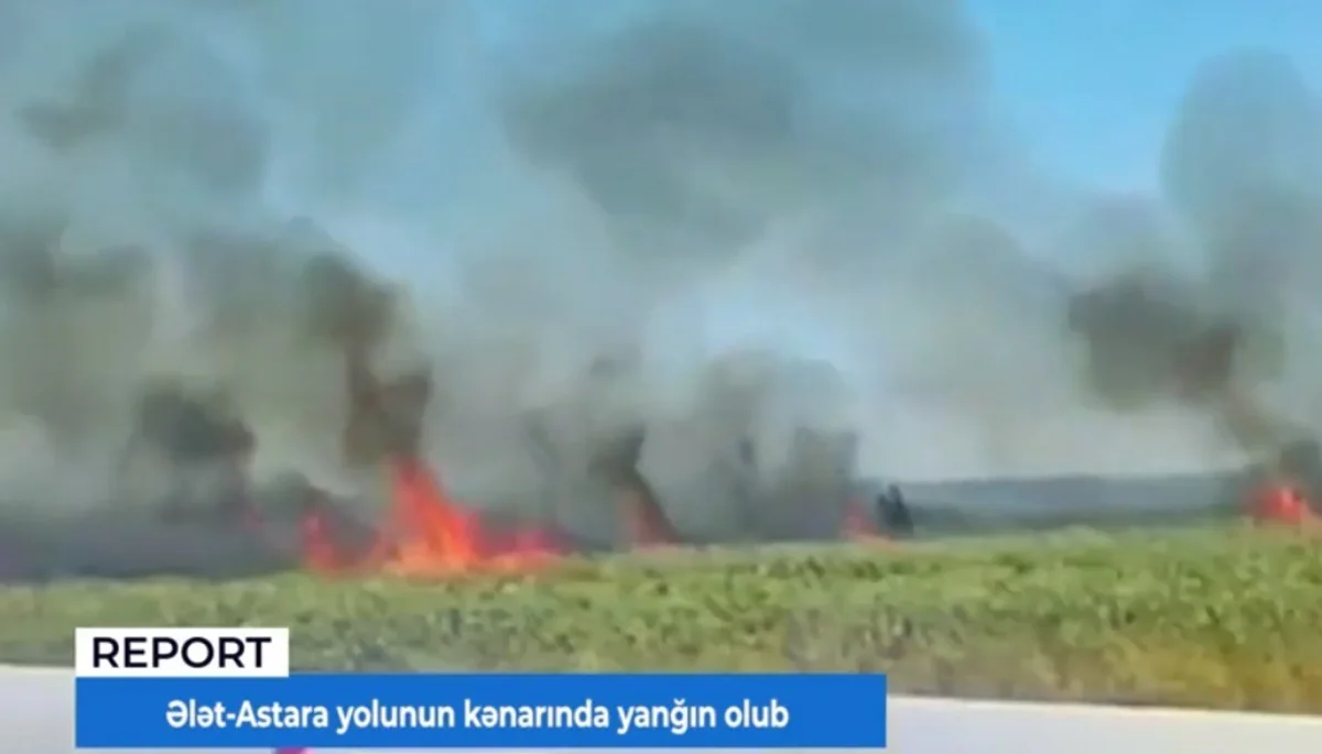 Ələt-Astara yolunun kənarında yanğın olub - VİDEO