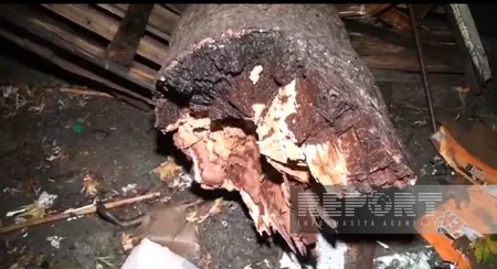 Сильный ветер и ливень вызвали ряд последствий в Гёйчае