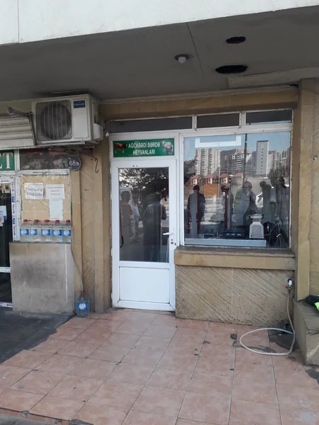 Yasamalda qanunsuz heyvan kəsiminin qarşısı alınıb