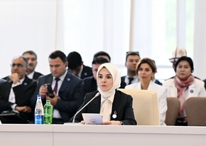 Махинур Оздемир Гёкташ: Женский форум ОЭС в Лачыне стал началом значимого регионального диалога