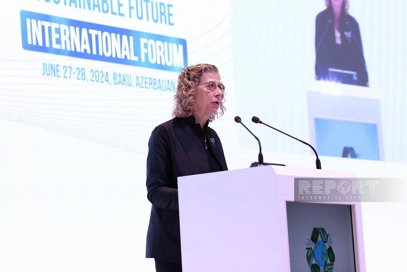 UNEP executive director: COP29 has big climate action goals