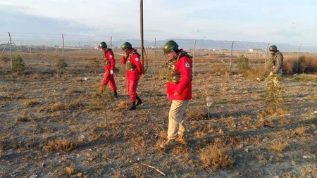 Gəncədə 31 ədəd aviabomba tapılıb