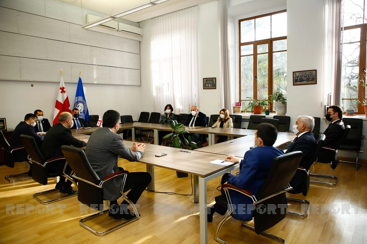 Azerbaijan, Georgia discuss cooperation in higher education