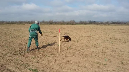 Cocuq Mərcanlıda tank əleyhinə mina aşkar edilib