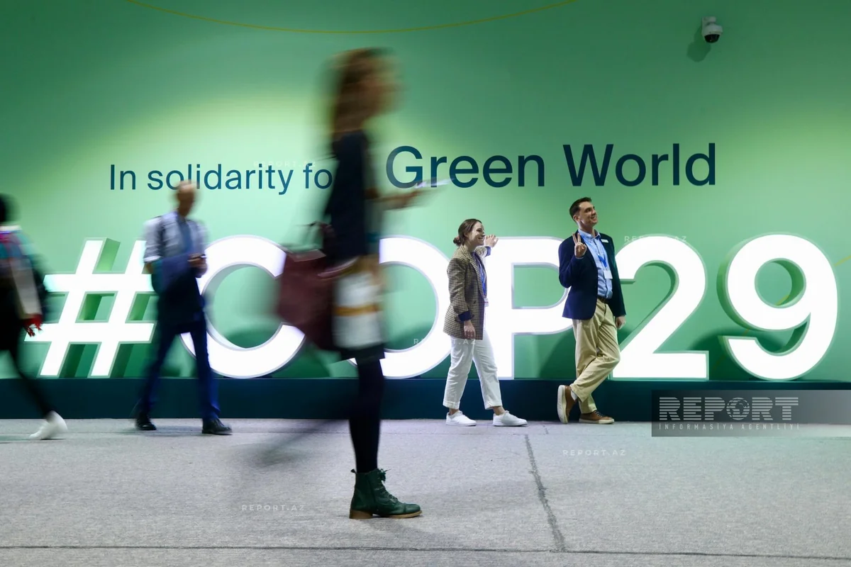Девятый день COP29: участники полны энергии и энтузиазма - ФОТОРЕПОРТАЖ