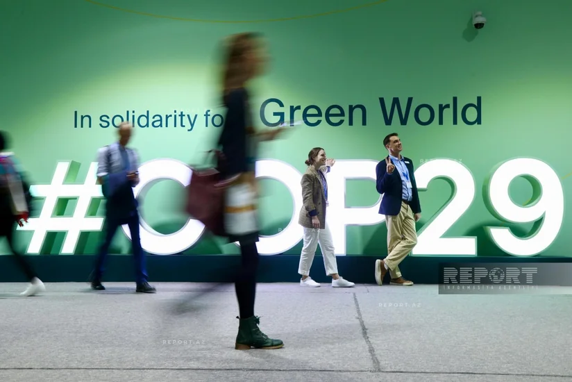 Девятый день COP29: участники полны энергии и энтузиазма - ФОТОРЕПОРТАЖ