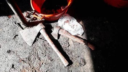 Cəlilabadın Maşlıq kəndində qanunsuz at kəsimi və at əti tədarükü ilə məşğul olanlar aşkarlanıb
