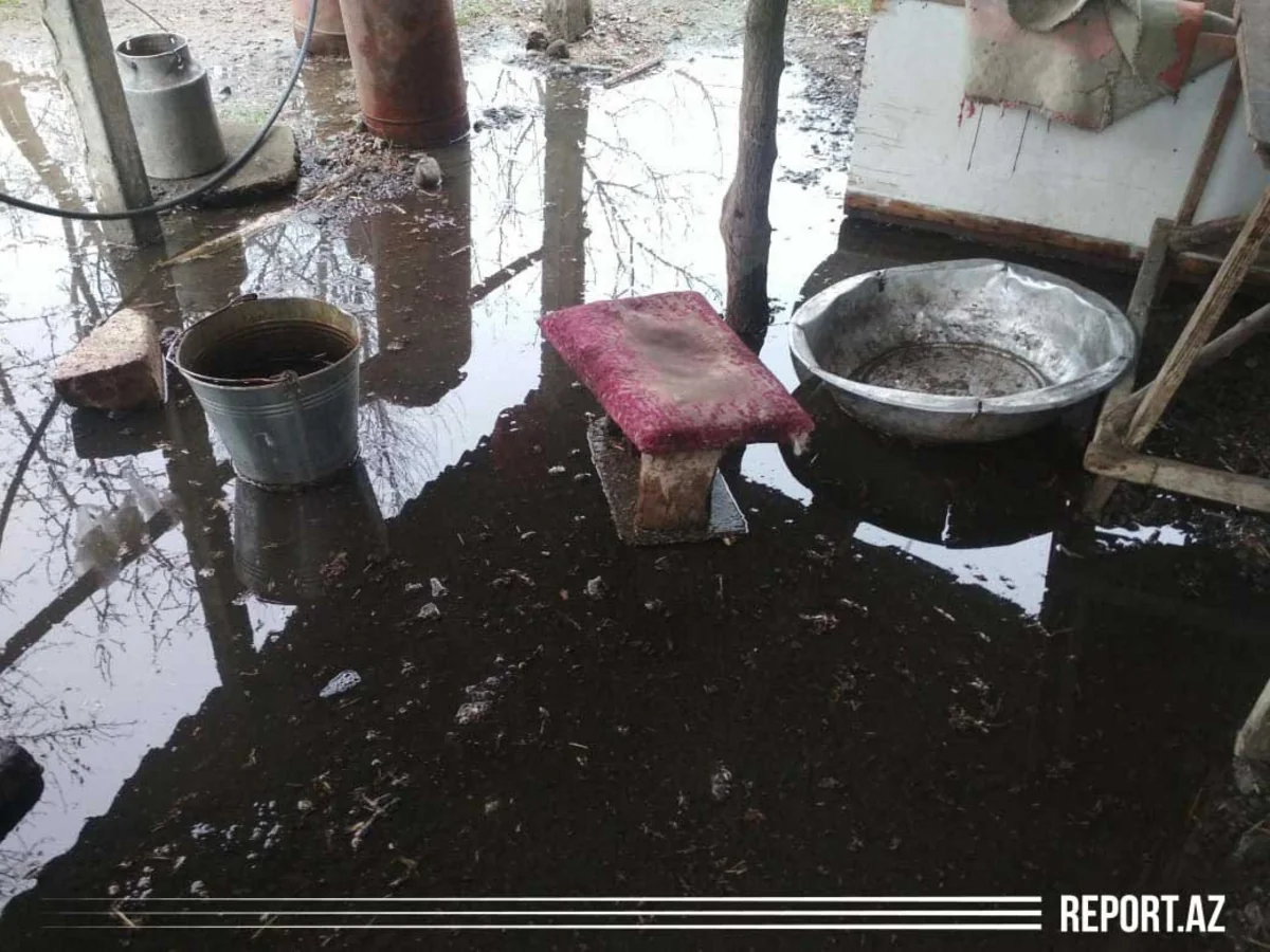 Bərdədə məcburi köçkünlərin evlərini su basıb - VİDEOREPORTAJ
