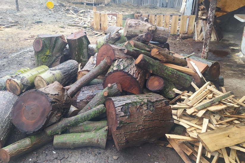 Ağstafada qanunsuz fəaliyyət göstərən ağac emalı sexi aşkarlanıb