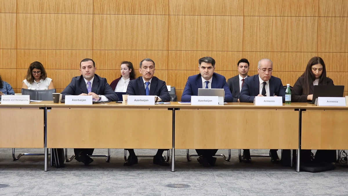 Azərbaycanda həyata keçirilən korrupsiyaya qarşı mübarizə tədbirləri xarici ekspertlər tərəfindən yüksək qiymətləndirilib