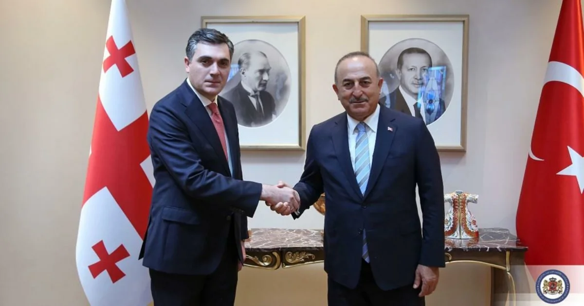 Azerbaijan-Georgia-Turkiye cooperation format discussed in Istanbul