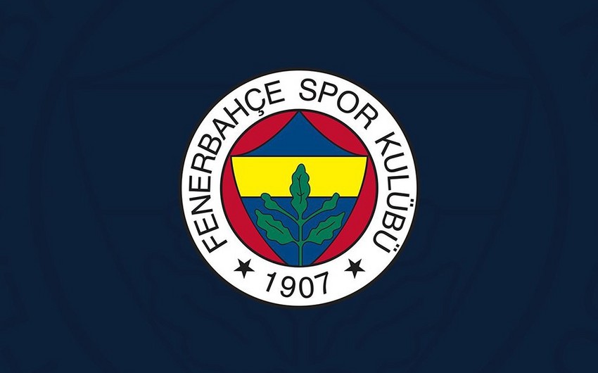 Fenerbahce sues Turkey's Football Federation