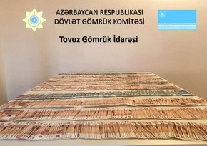Azərbaycandan Gürcüstana xarici valyuta qaçaqmalçılığının qarşısı alınıb