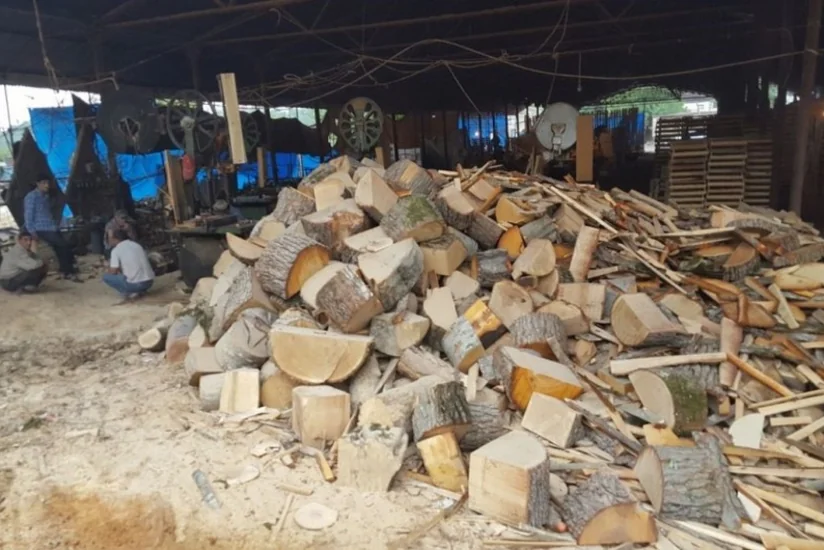 Göyçayda qanunsuz yolla əldə edilmiş işlik meşə materialı müəyyən edilib
