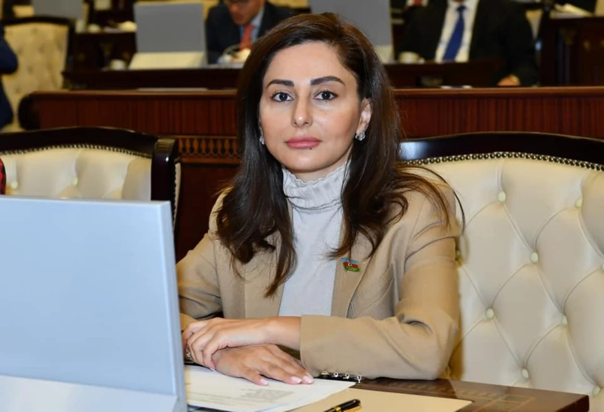 Özünün Vətən Müharibəsi ilə Azərbaycan regionda yeni reallıq yaratdı